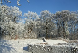 Dscf0424-original-411652