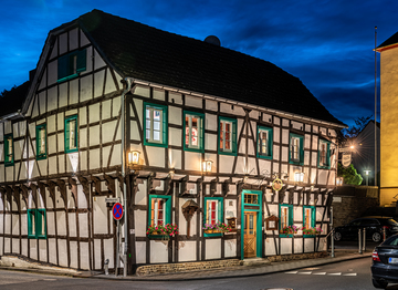 Kopie_von_20210704-schwan-metternich-0081-hdr-edit